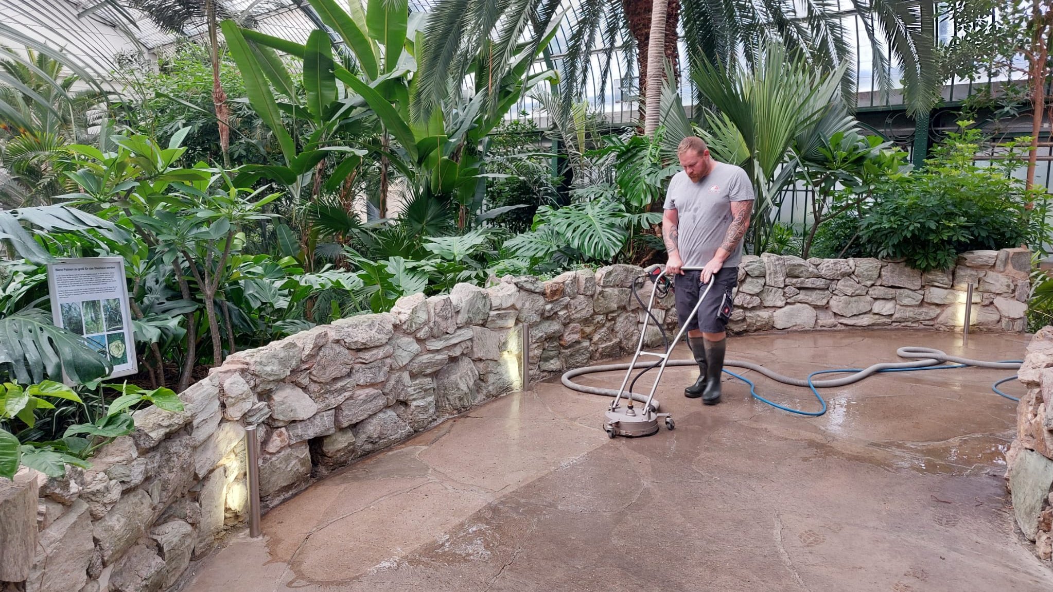 Steinreinigung im Frankfurter Palmengarten