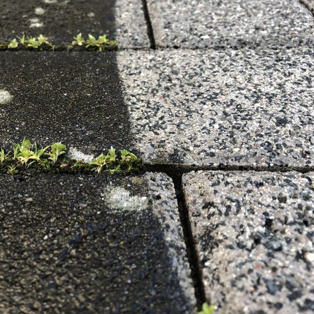 Pflaster voher und nach der Reinigung