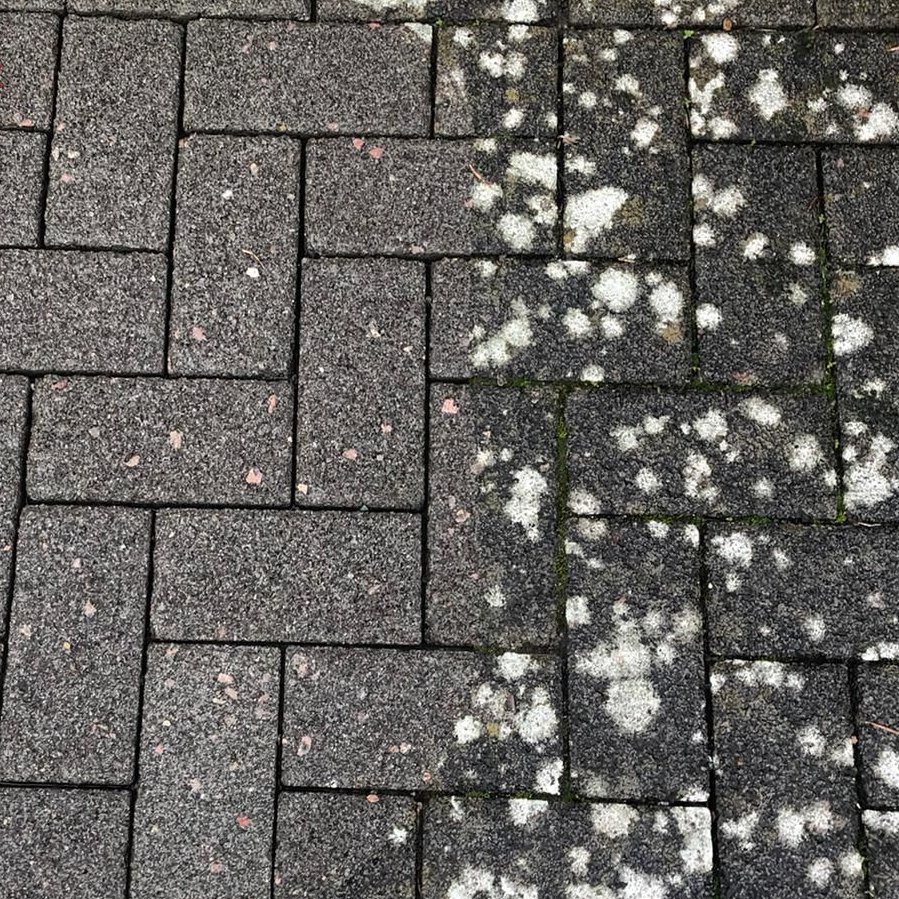 Pflastersteinreinigung in Wiesbaden